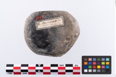 Foto von Reibstein (NHMW-PRAE-003497)